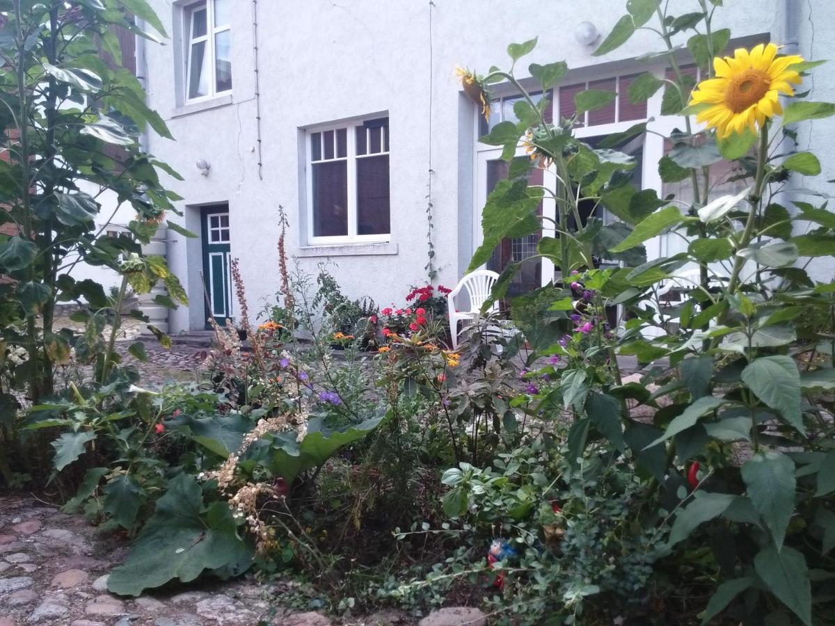 Gaestewohnung Seetor Lenzen Zewnętrze zdjęcie